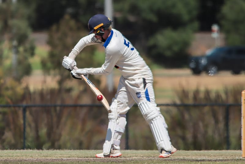 WDCA Cricket Division 1 Western Park vs Longwarry - January 24, 2026 post image