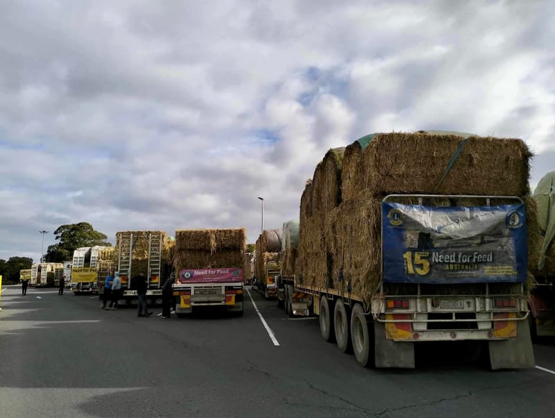 Hay donations needed post image