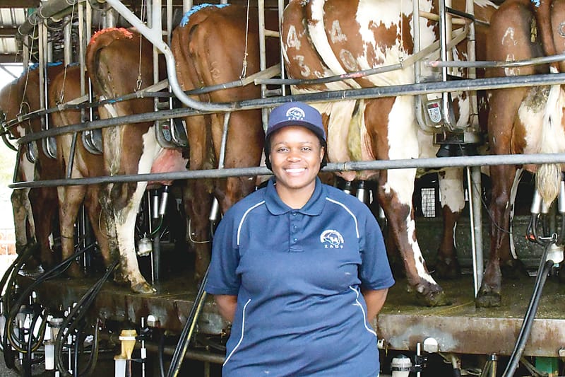 Looking to Australia for growth post image