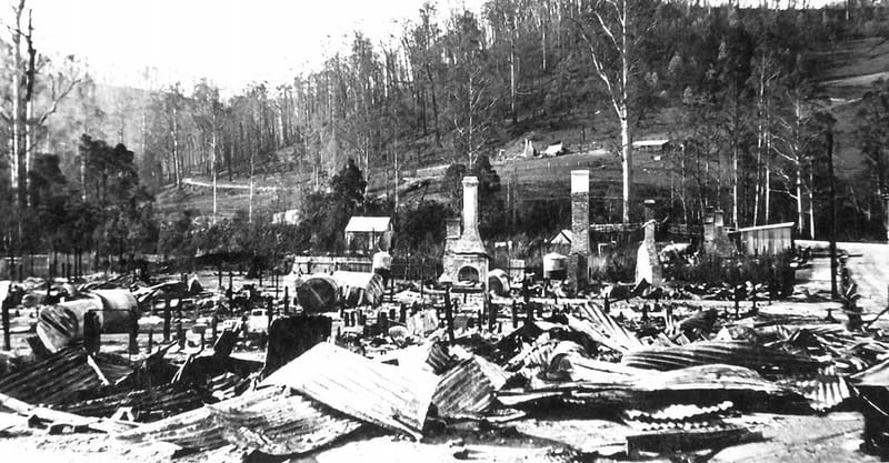 100 years after the fires post image