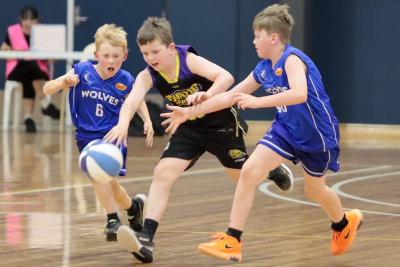 WDABA Under 12 Boys Basketball Division 2: Bunyip Pistons vs Neerim Wolves - 13 February 2026 post image