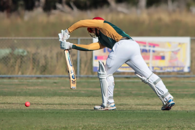 WDCA Cricket Under 17s Hallora vs Western Park - February 20, 2026 post image