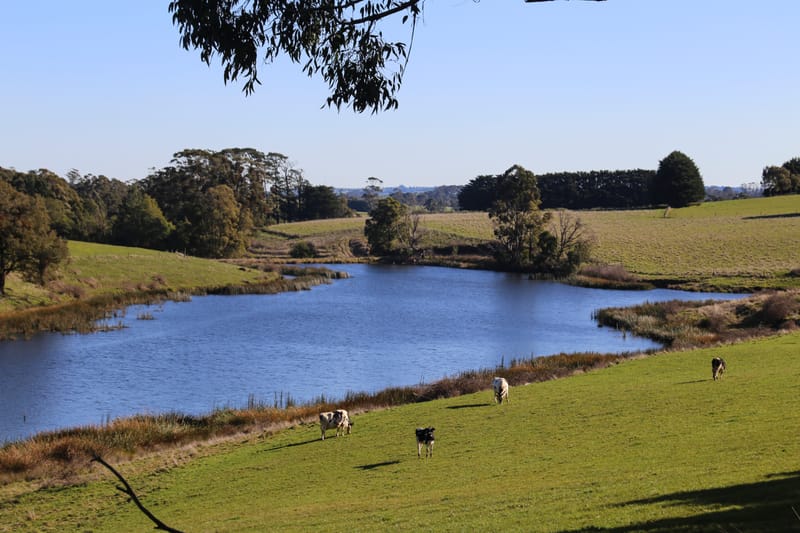 Turning ideas into action post image