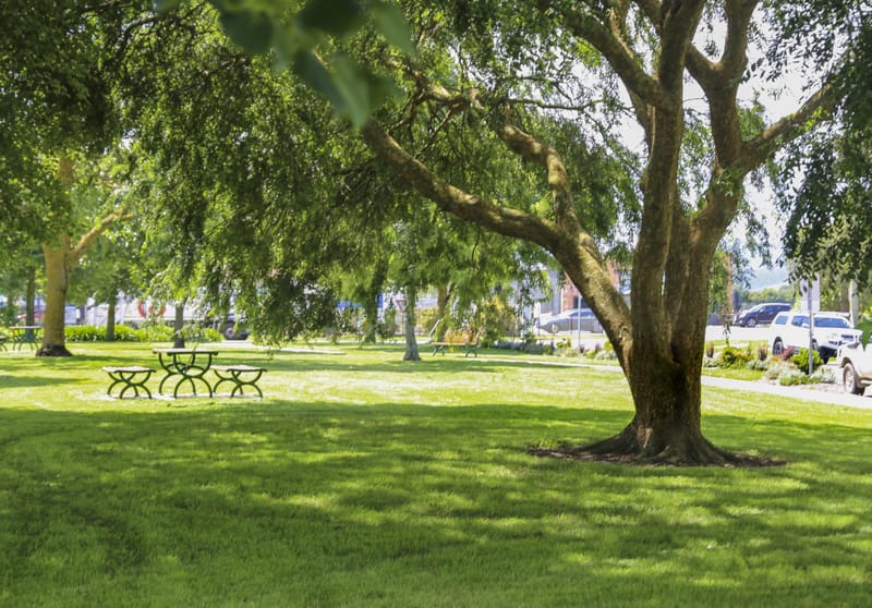 Have your say on Rawson park post image